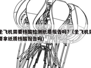坐飞机需要核酸检测纸质报告吗?（坐飞机需要拿纸质核酸报告吗）
