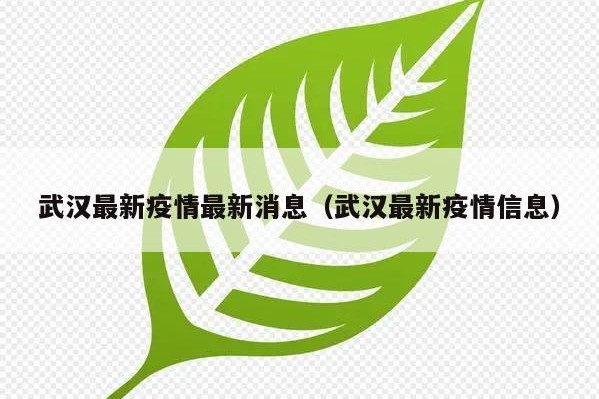 武汉最新疫情最新消息（武汉最新疫情信息）