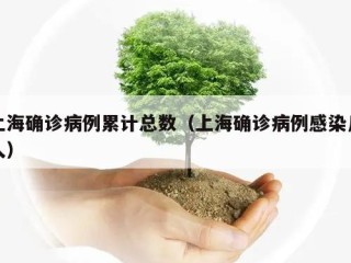 上海确诊病例累计总数（上海确诊病例感染几人）